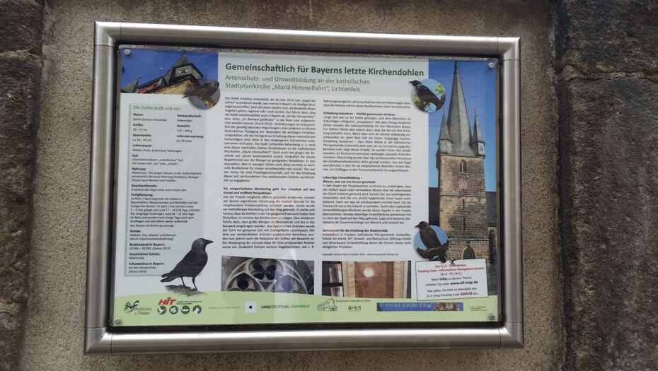 Eine ausführliche Informationstafel an der Wand der Kirche informiert über den Schutz für Bayerns letzte Kirchendohlen.