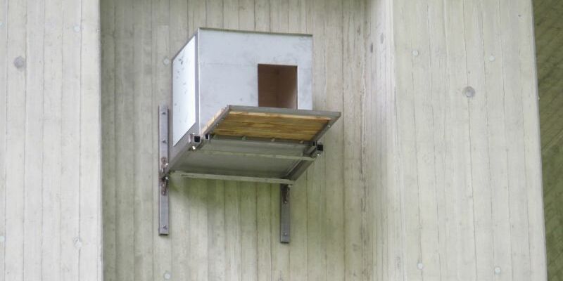 Ein Foto der Spezialnisthilfe Kasten aus Edelstahl und Holz, die an einem Pfeiler der Itztalbrücke angebracht wurde.