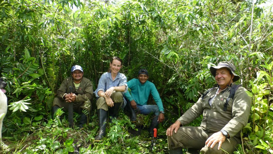 Vier Mitglieder des Feldarbeitsteams im Hochland der Insel Isabela im Galapagos-Archipel (von links nach rechts Ramón Pinargote, Anna Walentowitz, Bryan Gil, Máximo Mendoza).