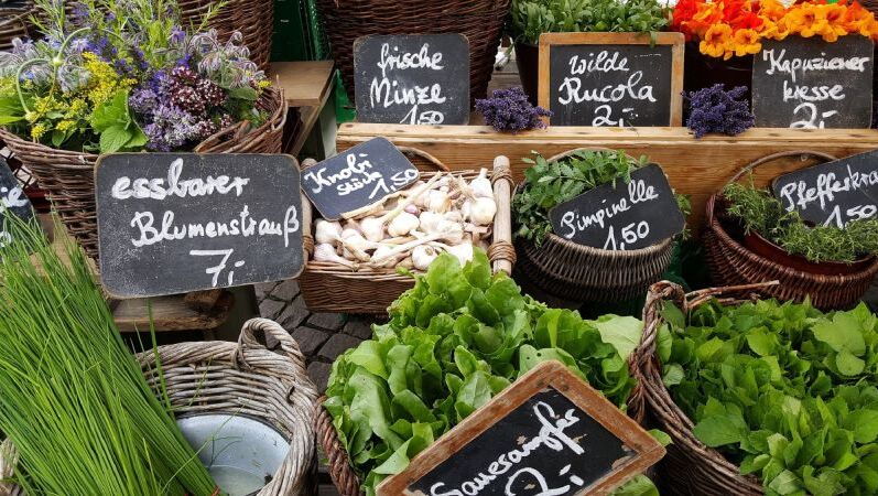Verschiedene Gemüse- und Blumensorten mit selbst beschrifteten Schildern, bei einem klassischen Wochenmarkt ausgestellt.