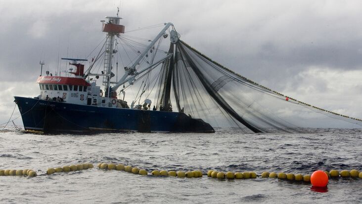 Die ecuadorianische 'Ocean Lady' wurde von Greenpeace in der Nähe der nördlichen Galapagos-Inseln unter Verwendung von Fischsammelgeräten (FADs) gesichtet.