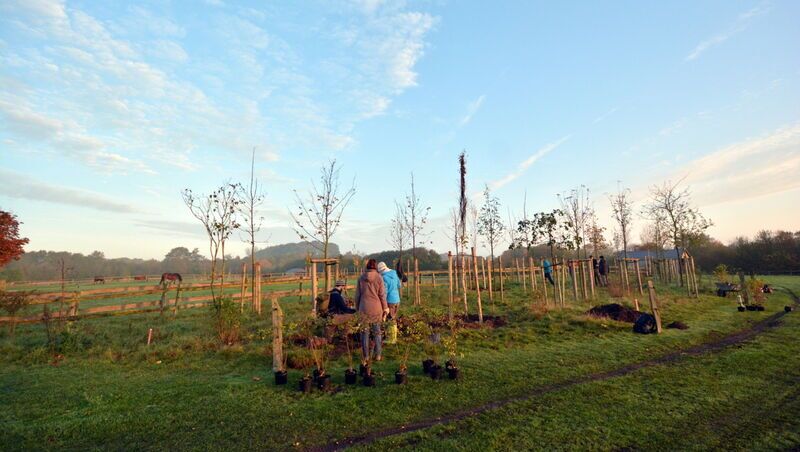Jährlich kommen über ein Dutzend ehrenamtliche Helferinnen und Helfer des Bergwaldprojekts in die Arche Warder, um die neuen Bäume für die Stifterinnen und Stifter zu pflanzen.